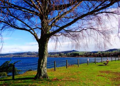 Lake Taupo - green and blue are the colours in the area!