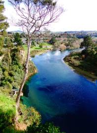 River Waikato flowing from Lake Taupo - here is the view from bungy jumping platfrom